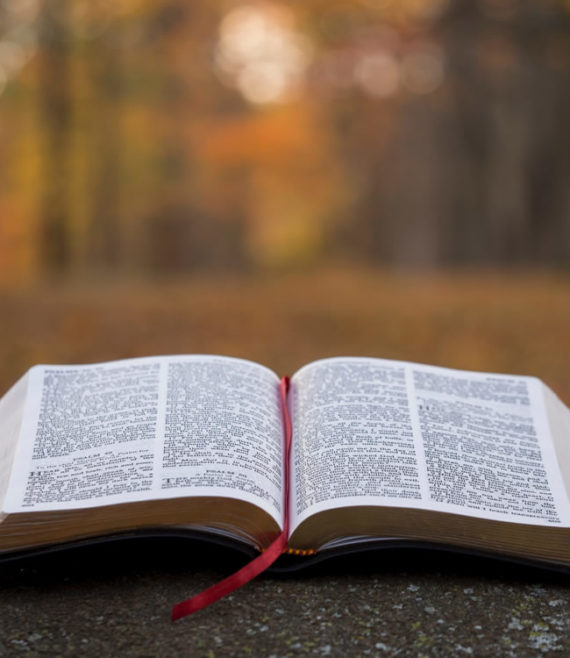 biblia
